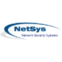 NetSys HLS logo - Similar company to Newit