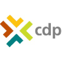 CDP Engineers logo - Similar company to Precision Engineering, Llc