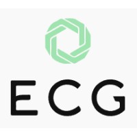 ECG digitals logo - Similar company to Ecargo