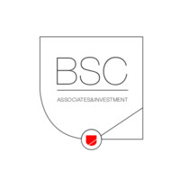 BSC Associates & Investment logo - Similar company to Igor Properties