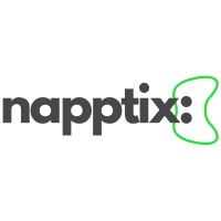 Napptix logo - Similar company to Teqflick