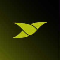TORVOL logo - Similar company to Geprc