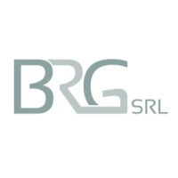 BRG Srl logo - Similar company to 3G Energy Srl