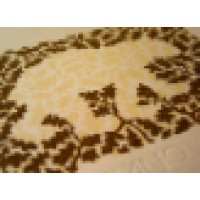 SEMPER FIDELIS logo - Similar company to Crusaders Valor For Veterans