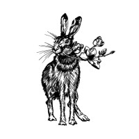 Magnolia Rabbit Design Co.