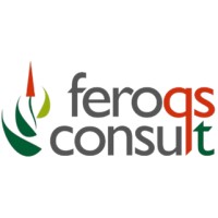 Feroqs Consult logo - Similar company to Wavecrest Innovations