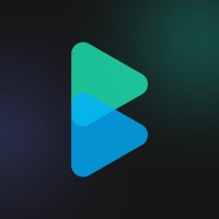 Blindspot Technologies logo - Similar company to Goodaccess®