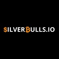 SILVERBULLS.IO logo - Similar company to Texsmartly
