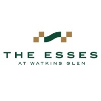 The Esses at Watkins Glen logo - Similar company to Fairfax Data Systems, Inc.