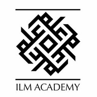 ILM ACADEMY logo - Similar company to Vision Detailing