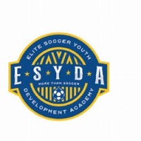 ESYDA logo - Similar company to Mesh Project Delivery Partners