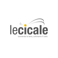 Le Cicale Agency logo - Similar company to Map Global