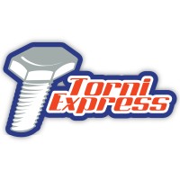 Torni Express logo - Similar company to Maindsoft