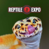 Canadian Reptile Expo logo - Similar company to Direct Locksmith