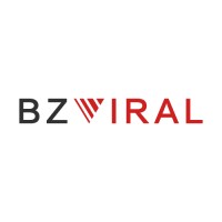 Bzviral Group logo - Similar company to Helpergo
