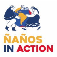Ñaños in Action logo - Similar company to Mcintyre, Donohue, Accardi, Salmonson, & Riordan, Llp