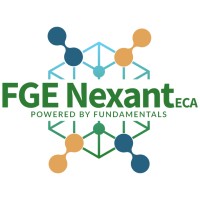 FGE NexantECA logo - Similar company to Etasca