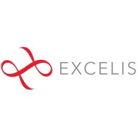 Excelis Corp. logo - Similar company to Adepar