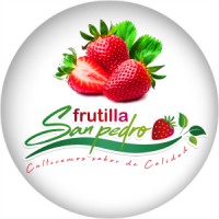 Frutilla San Pedro Melipilla logo - Similar company to Ilustre Municipalidad De María Pinto