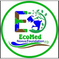 ECOMED NEXUS logo - Similar company to Stubnet Technology Solutions Ltd
