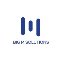 Big M Solutions logo - Similar company to Twice Box
