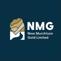 New Murchison Gold (ASX:NMG) logo - Similar company to Wildcat Resources