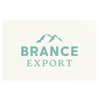 BRANCE EXPORT logo - Similar company to Exportiza Global Llp
