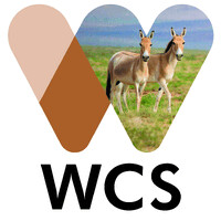 Wildlife Conservation Society Mongolia logo - Similar company to Snow Leopard Trust
