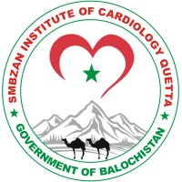 Smbzan Institute Of Cardiology