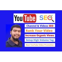 Digital marketing and Youtube video SEO expert logo - Similar company to Https://Youtube.Com/@Life_With_Nasir