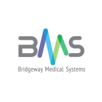 Bridgeway Medical Systems logo - Similar company to Mnb