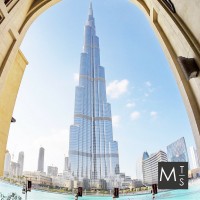 My Tour Studio Dubai logo - Similar company to Le Jardin Des Bêtes