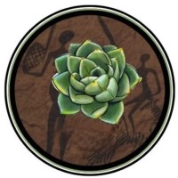 SAUP (Sustainability Awareness Upliftment Projects NPC) logo - Similar company to Civilscapes Engineering