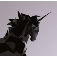 Disruptive Unicorns logo - Similar company to The Knowledge Gym