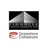 Pinnacle Capital Markets LTD./ The Investors Coliseum logo - Similar company to Altfi Services Group