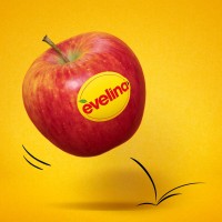 Evelina International logo - Similar company to Evelina La Pomme