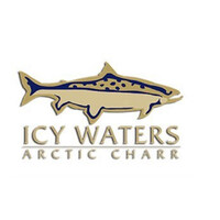Icy Waters Ltd logo - Similar company to Javitech Atlantic