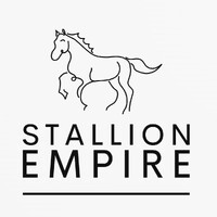 Stallion Empire Ltd. logo - Similar company to Anatomize Inc.