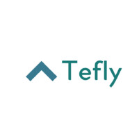 Tefly logo - Similar company to Tefly