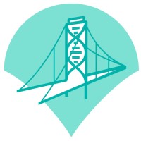 DDS ALLIANCE LTD logo - Similar company to Treesition
