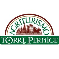 Torre Pernice logo - Similar company to 2B It Solutions Srl
