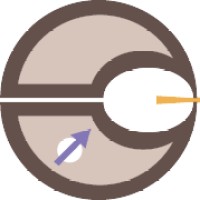Maestri Doctoral Network logo - Similar company to Organic Semiconductor Centre