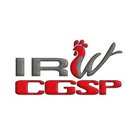 IRW-CGSP logo - Similar company to Cgsp Llc