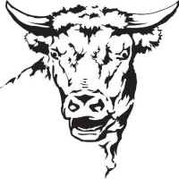 Highland Capital Partners Ltd logo - Similar company to Inertially