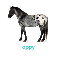 Appy Consulting Llc