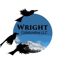 Wright Collaborative LLC logo - Similar company to Bright Cyde