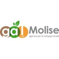LAG Molise verso il 2000 logo - Similar company to Energetska Agencija Kssena / Energy Agency Kssena