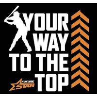 Future Star Baseball Academy logo - Similar company to Pc Baseball Academy