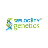 Welocity Genetics logo - Similar company to Vieroots Wellness Solutions Pvt Ltd