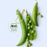 Vinzenz Service GmbH logo - Similar company to Beneto Foods